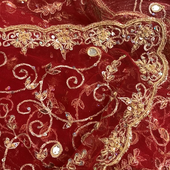 Lehenga Choli - Picture 13 of 14